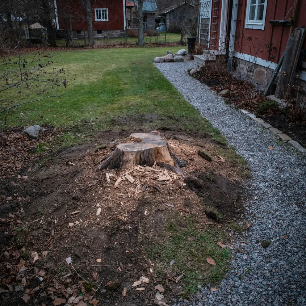 stubbfrasning bromma